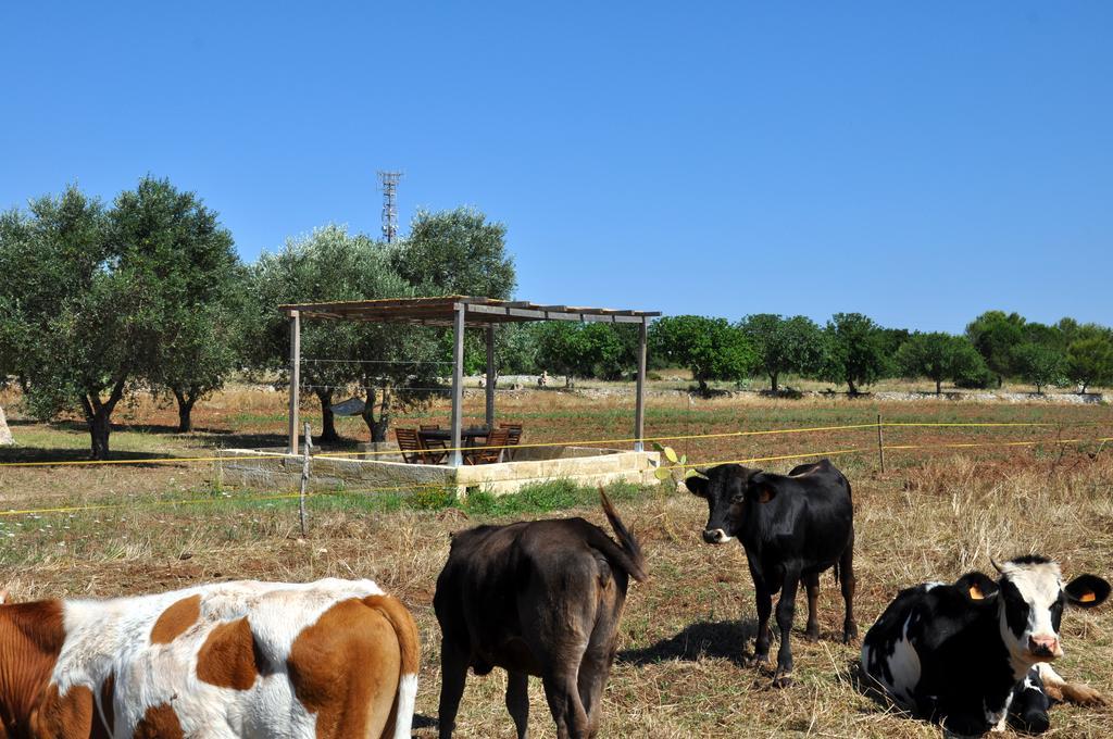 Masseria Uccio Tricase Exterior foto