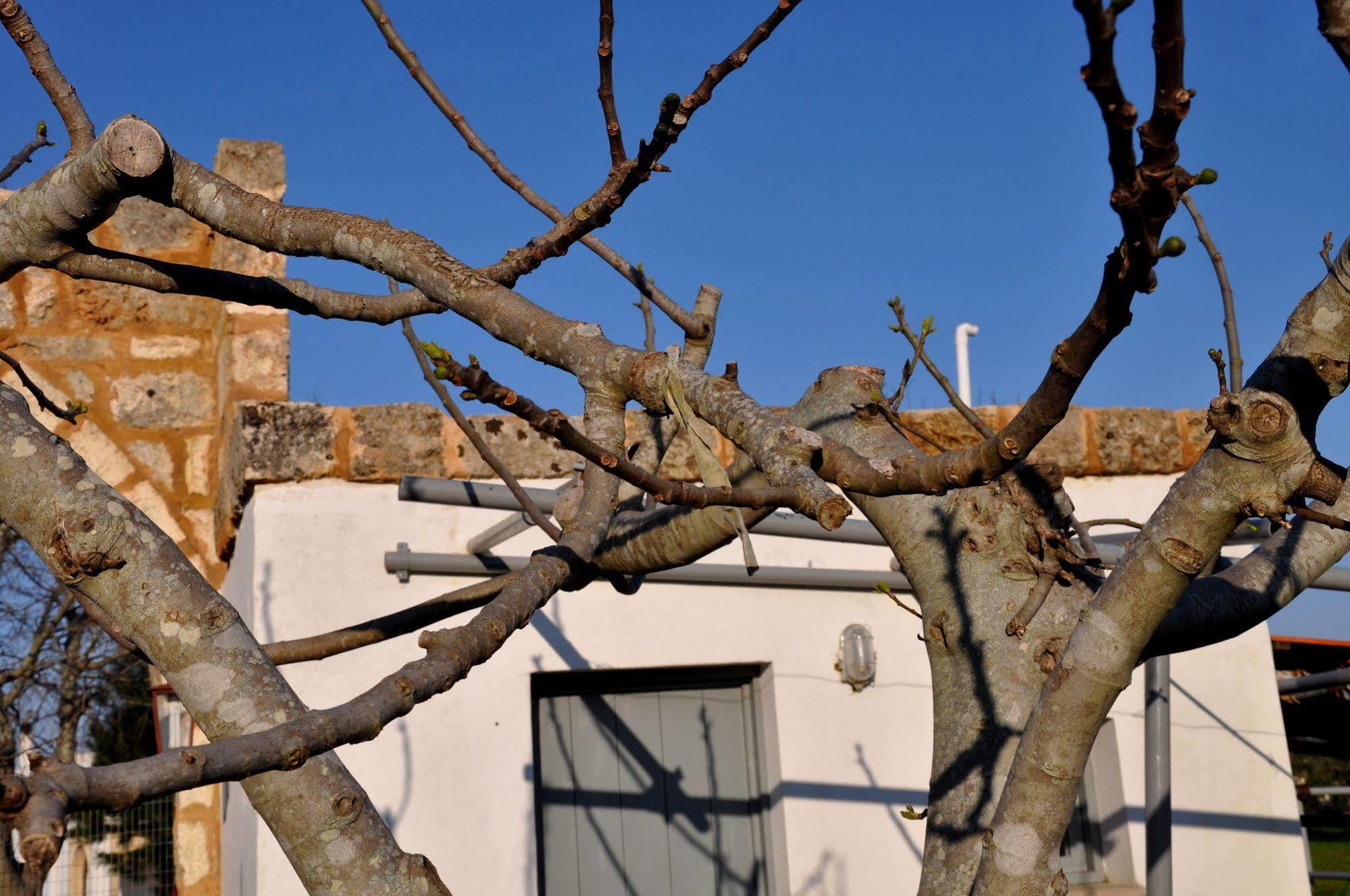 Masseria Uccio Tricase Exterior foto